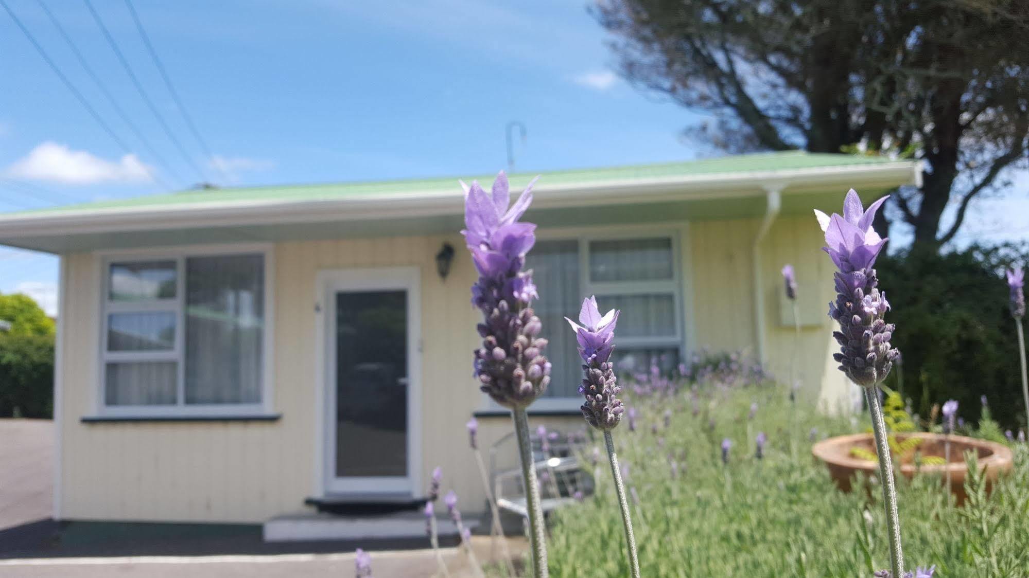 Timandra Motel ニュープリマス エクステリア 写真